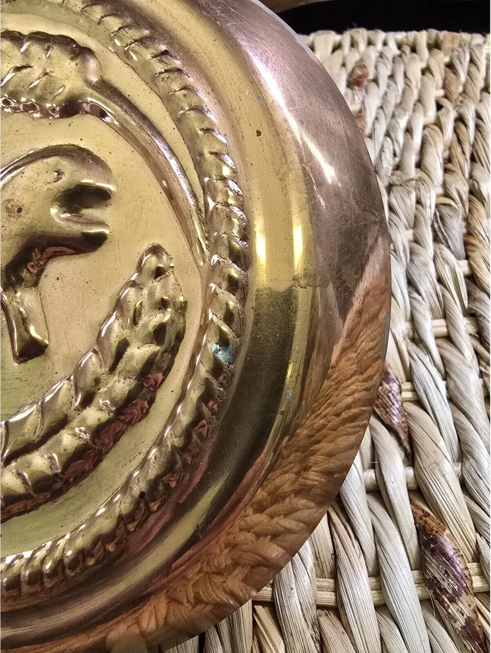 Vintage Copper toned cake food jello mold wall hanging Lion Tiger Kitchen decor